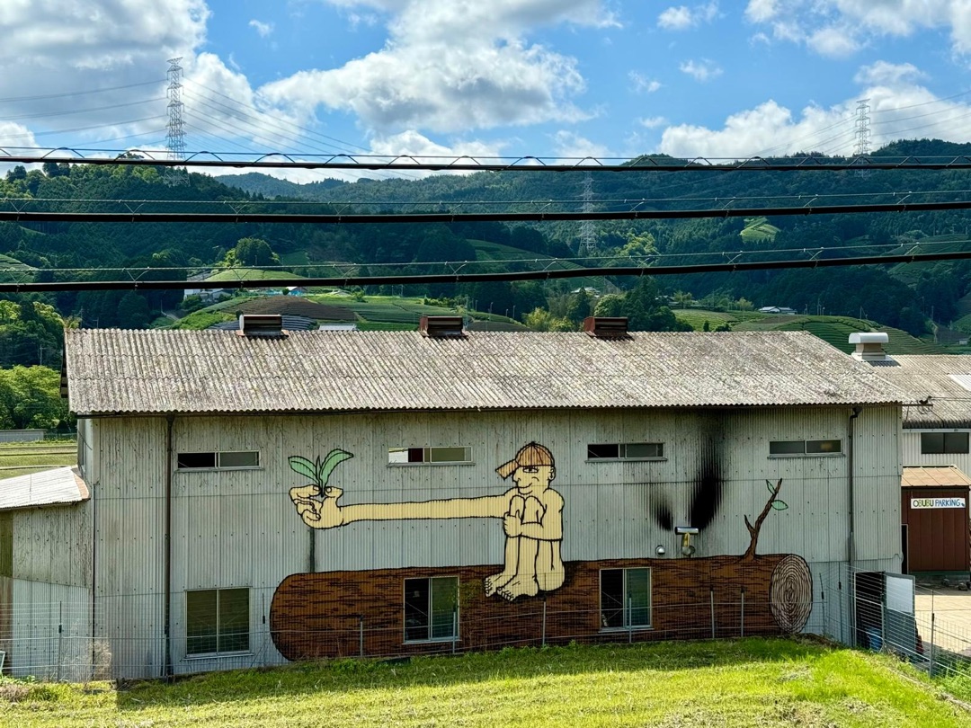 Teeanbau Tee-Ernte Japan Teequalität vor Ort