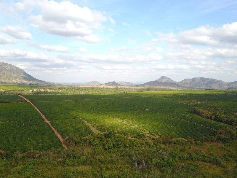 Malawi AAA+ Pamwamba