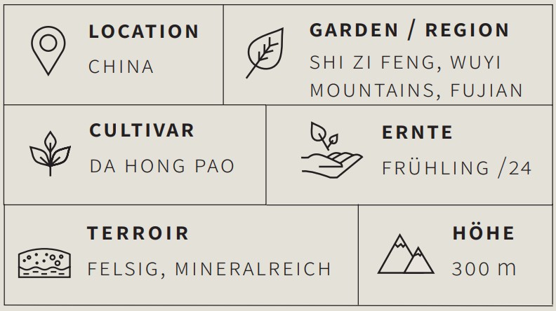 Oolong Tee Da Hong Pao - Berlin Tea Academy Only Sinensis