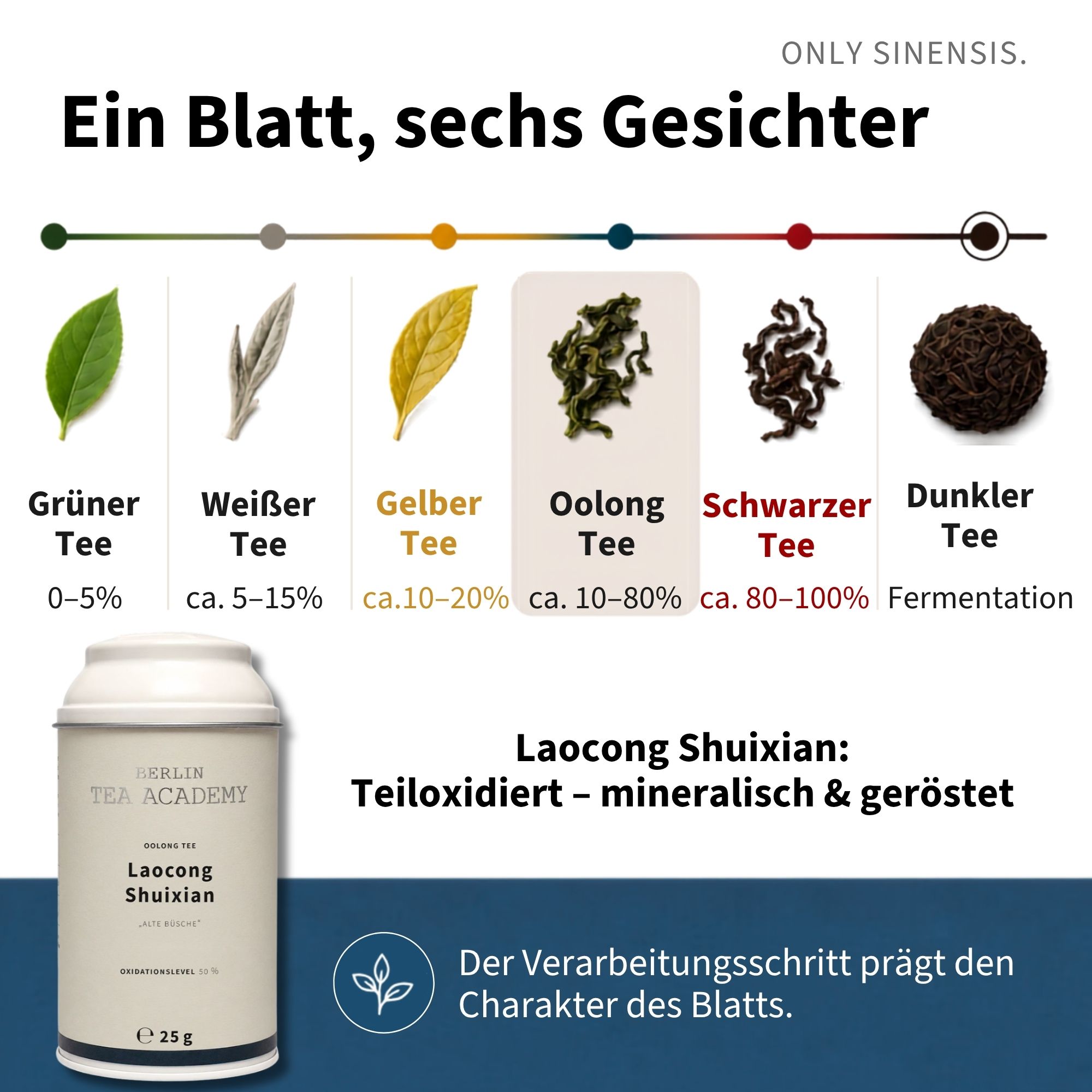 Oolong Tee Laocong Shuixian - Berlin Tea Academy Only Sinensis