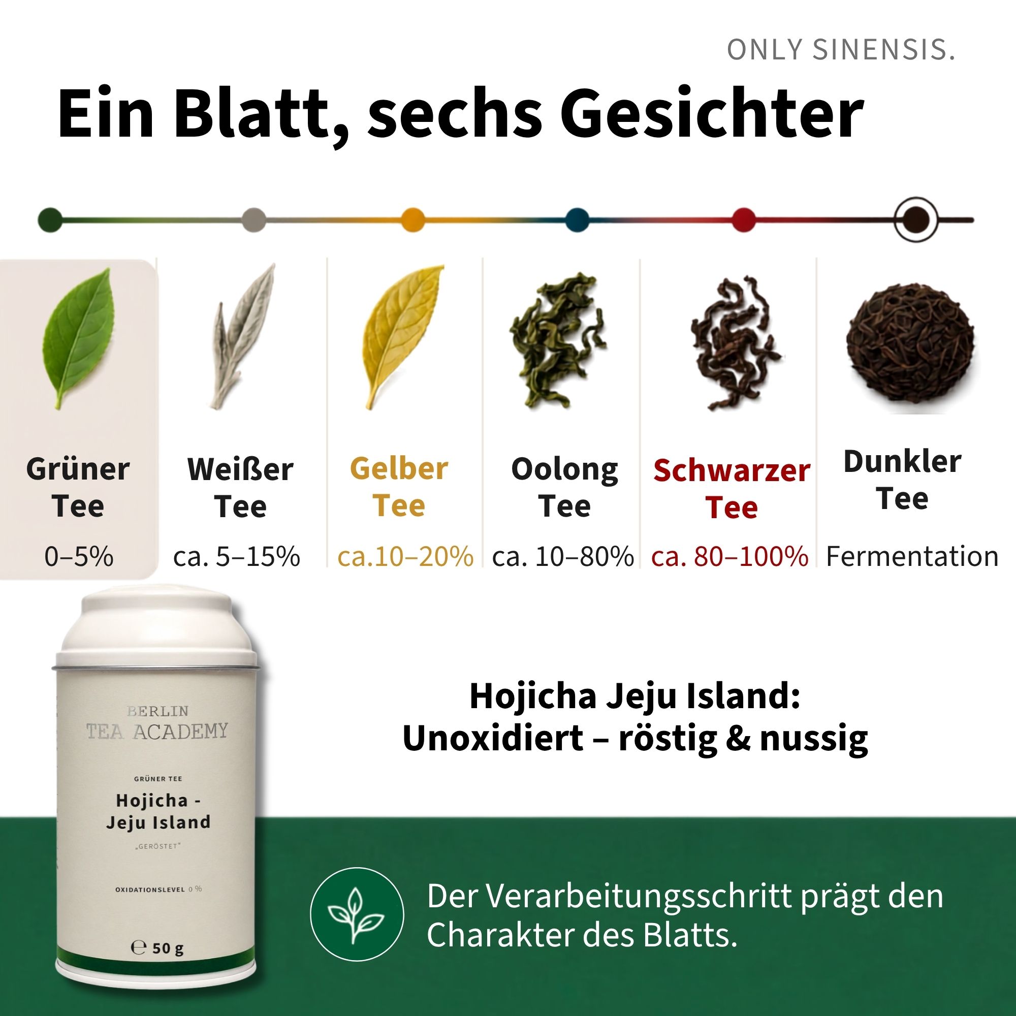 Grüner Tee Hojicha Jeju Island - Berlin Tea Academy Only Sinensis