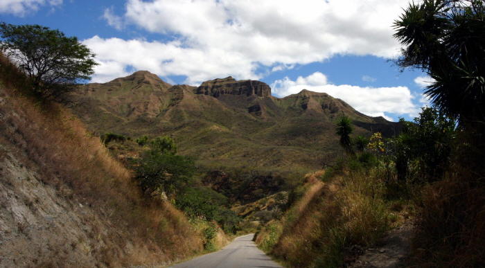 Region Vilcabamba APECAEL - Qualitäts Kaffee Ecuador