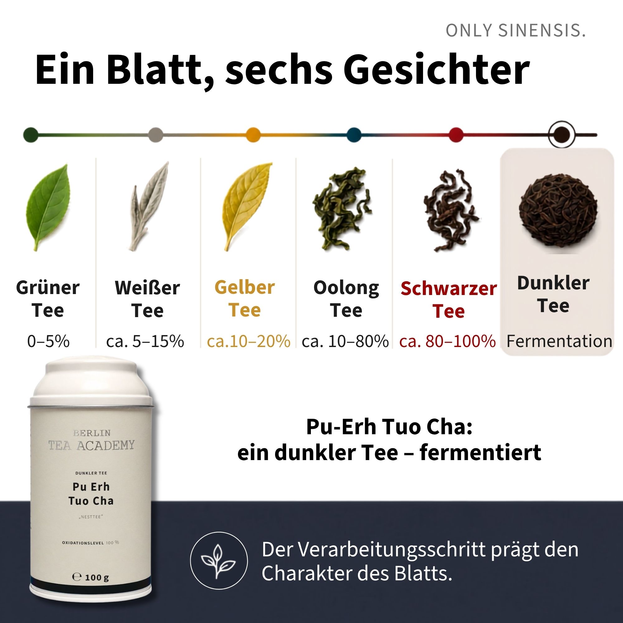 Pu-Erh Tee Pu Erh Tuo Cha - Berlin Tea Academy Only Sinensis