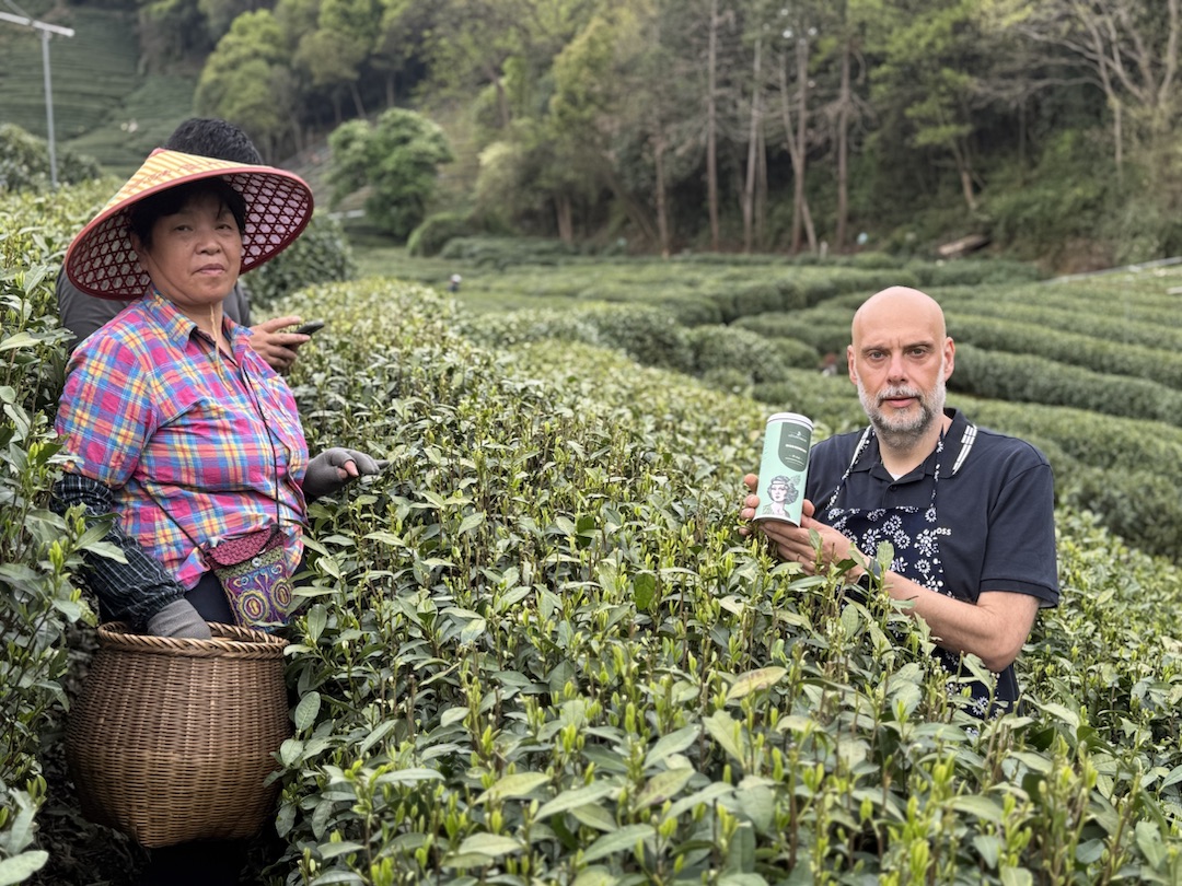 Teeanbau Tee-Ernte China Teeverarbeitung hohe Qualität Grüner Tee Schwarzer Tee Ursprung Berliner Kaffeerösterei Güldenklee