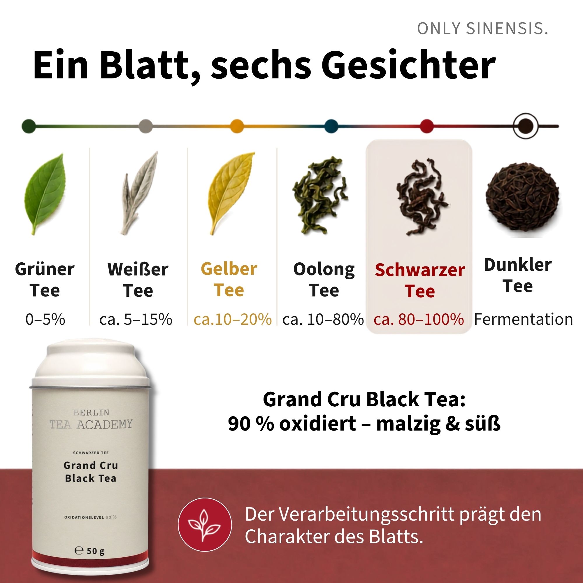Schwarzer Tee Grand Cru Black Tea - Berlin Tea Academy Only Sinensis