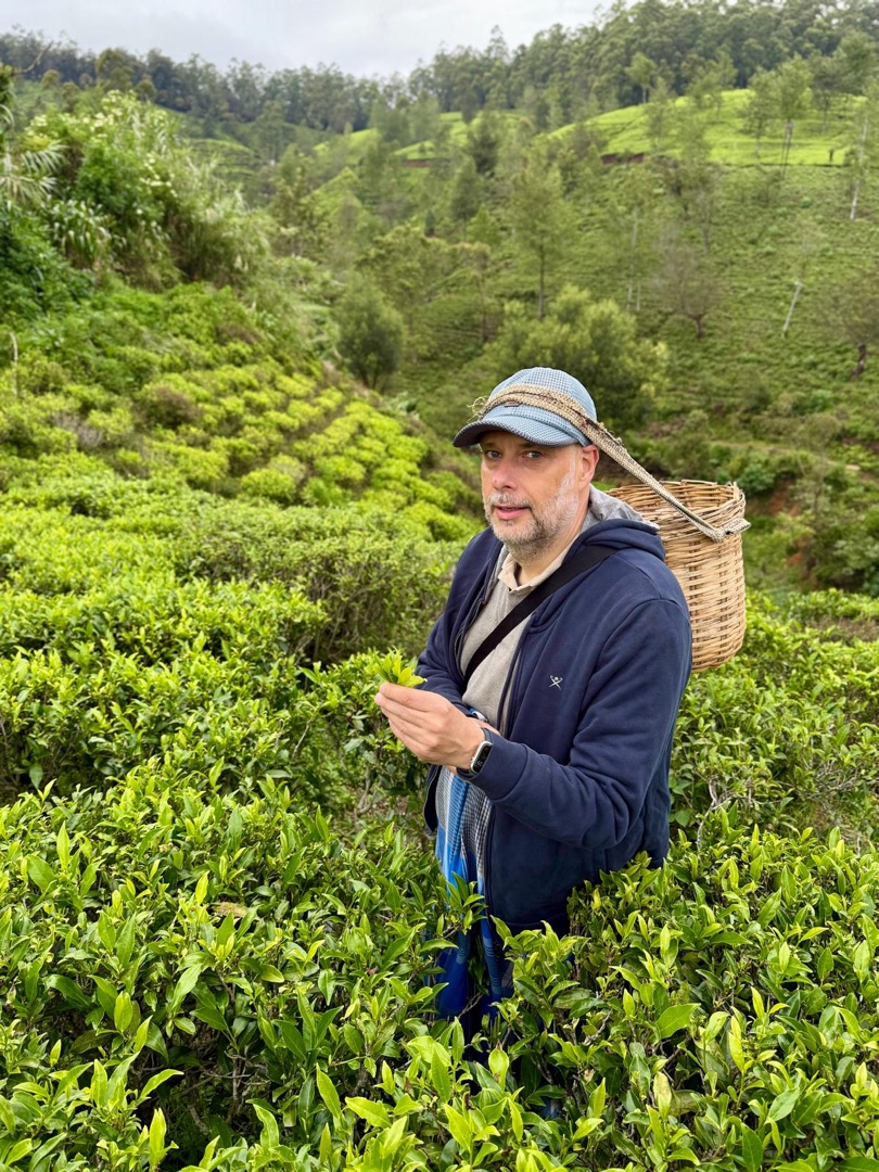 Teeanbau Tee-Ernte Sri Lanka Teequalität vor Ort
