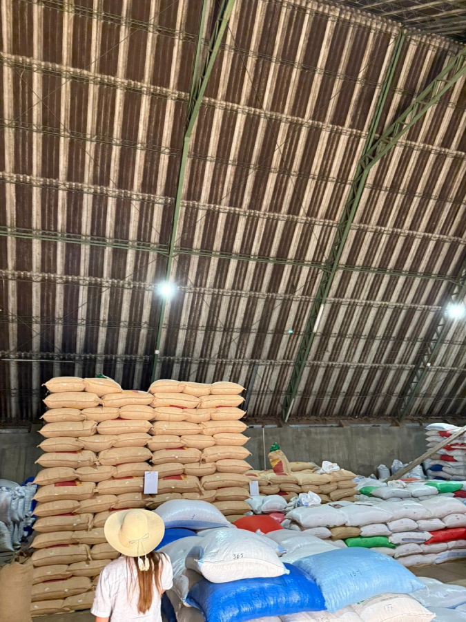 Kaffeeplantage Lagerung im Kaffeeland El Salvador