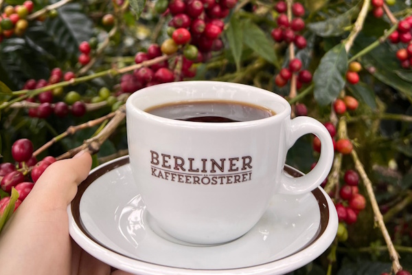 Berliner Kaffeeröstrei Kaffee und Kaffeekirschen