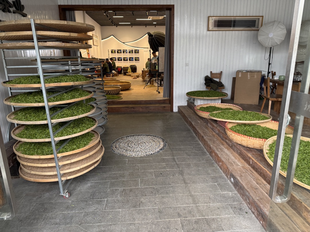 Teeanbau Tee-Ernte China Teeverarbeitung hohe Qualität Grüner Tee Schwarzer Tee Ursprung