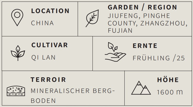 Oolong Tee Jiufeng Baiya Qilan - Berlin Tea Academy Only Sinensis