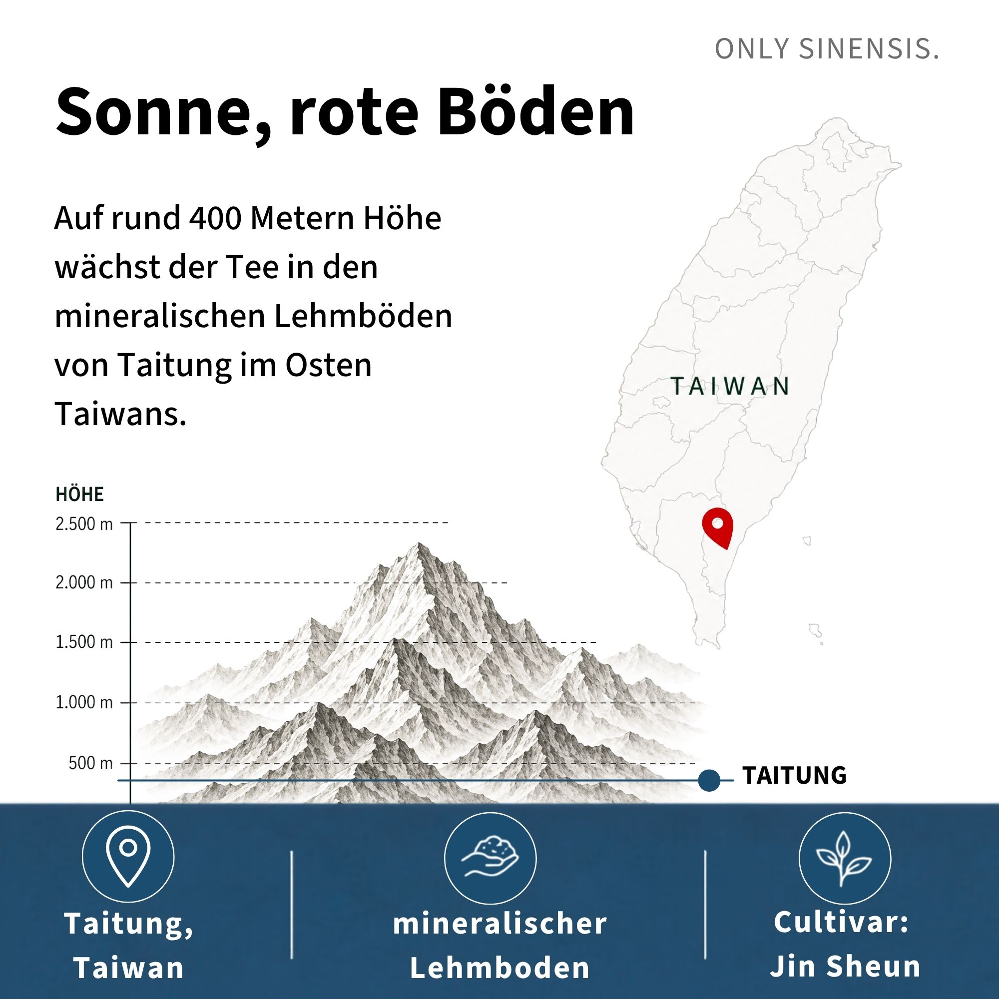 Oolong Tee Formosa Dark Pearl - Berlin Tea Academy Only Sinensis