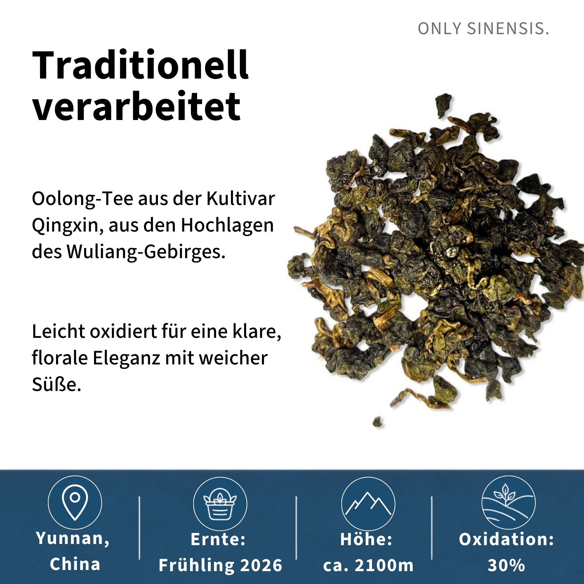 Oolong Tee Wuliang Ruanzhi - Berlin Tea Academy Only Sinensis