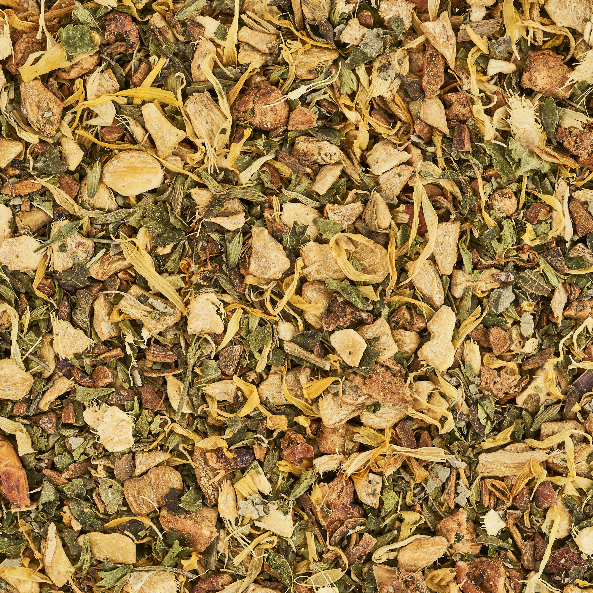 Schlürf - Bio Kräutertee Albert No 20