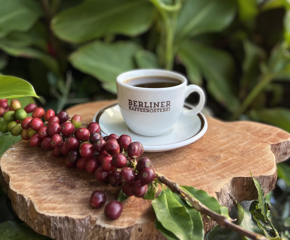 Berliner Kaffeerösterei Kaffeewissen Insider Übersicht Berliner Kaffeerösterei Kaffeewissen Insider Übersicht