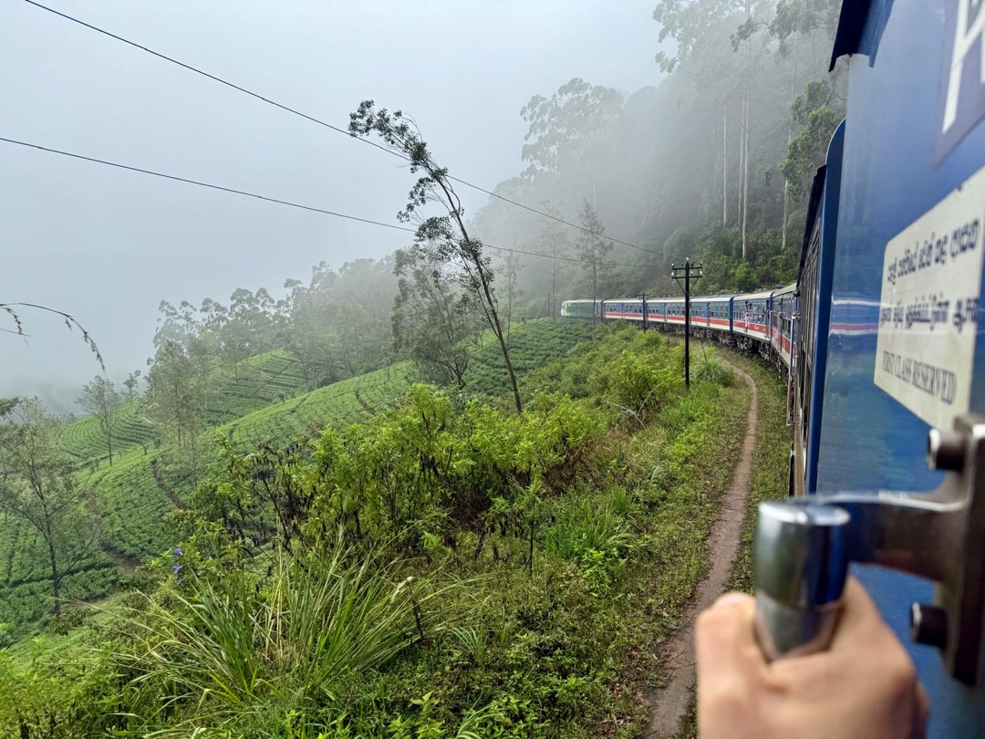 Teeanbau Tee-Ernte Sri Lanka Teequalität vor Ort