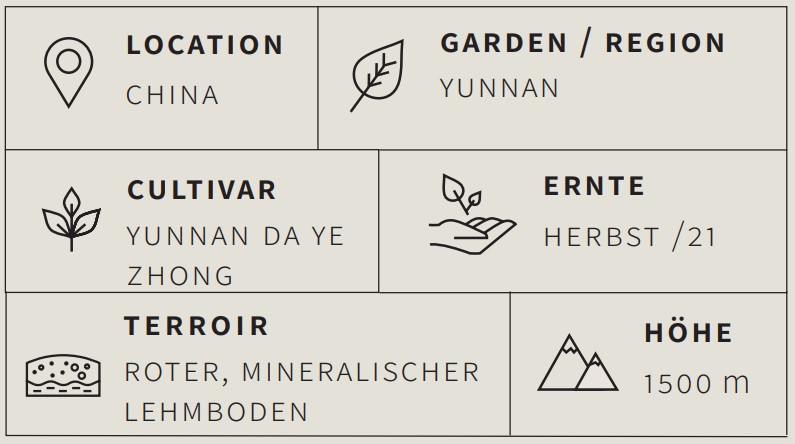 Pu-Erh Tee Pu Erh Tuo Cha - Berlin Tea Academy Only Sinensis