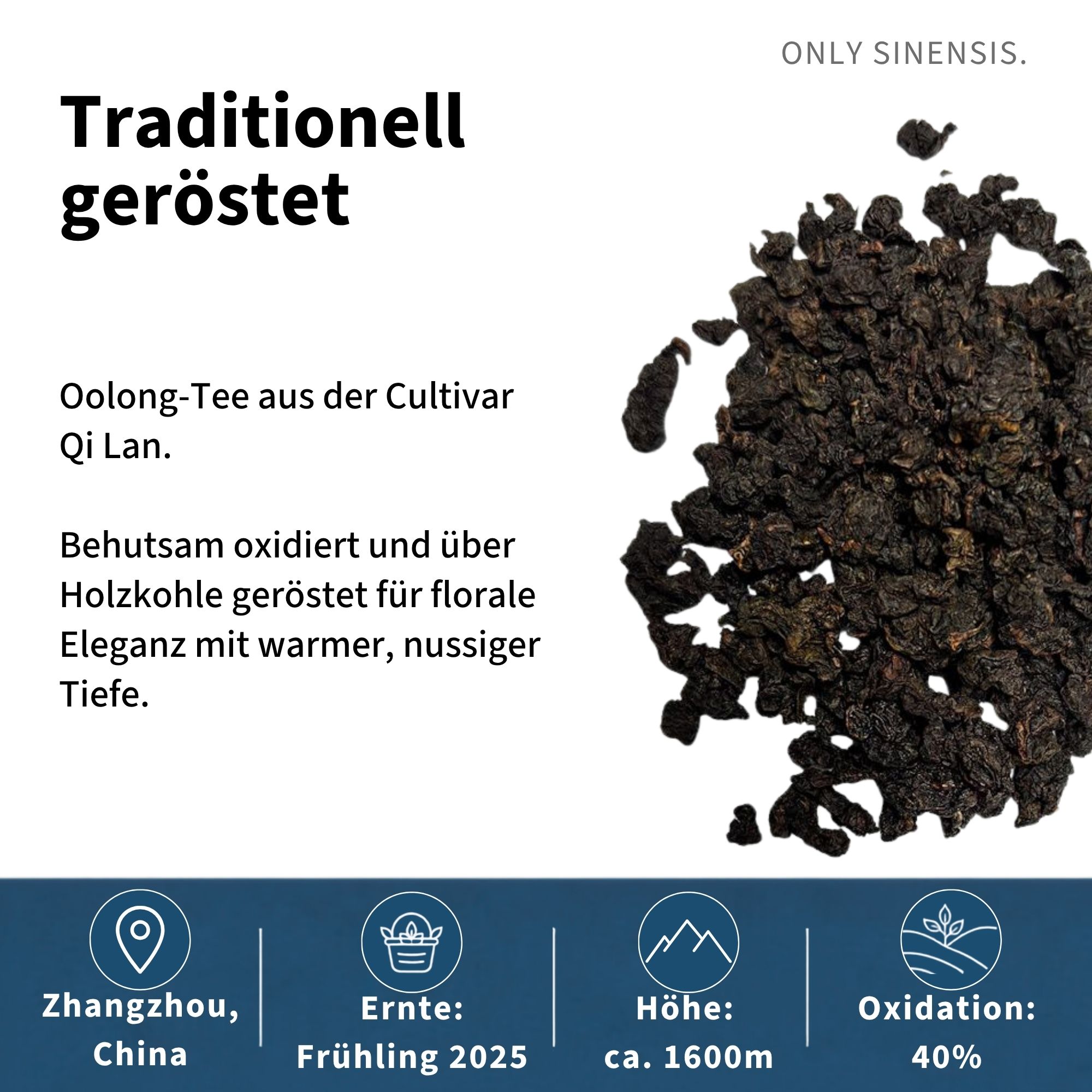 Oolong Tee Jiufeng Baiya Qilan - Berlin Tea Academy Only Sinensis