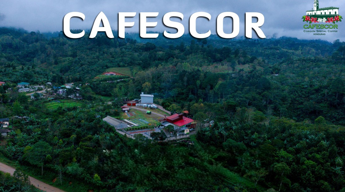 Cooperative Cafescor (Cafés Especiales Corquín S.A)