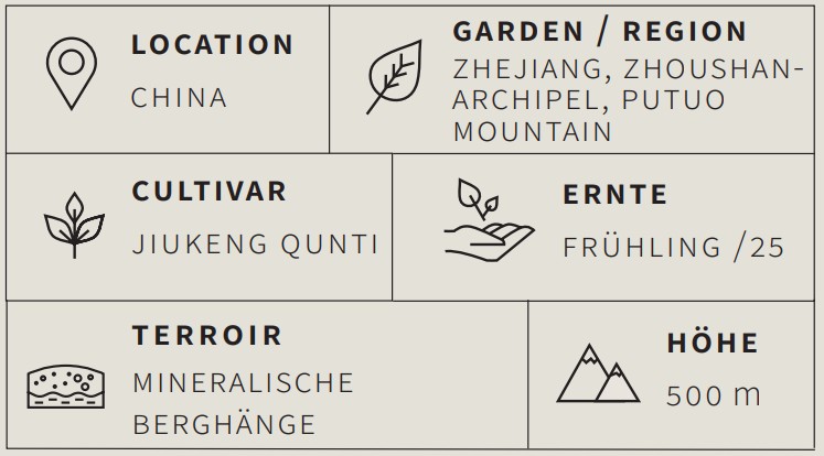 Weißer Tee Buddhist Tea - Berlin Tea Academy Only Sinensis