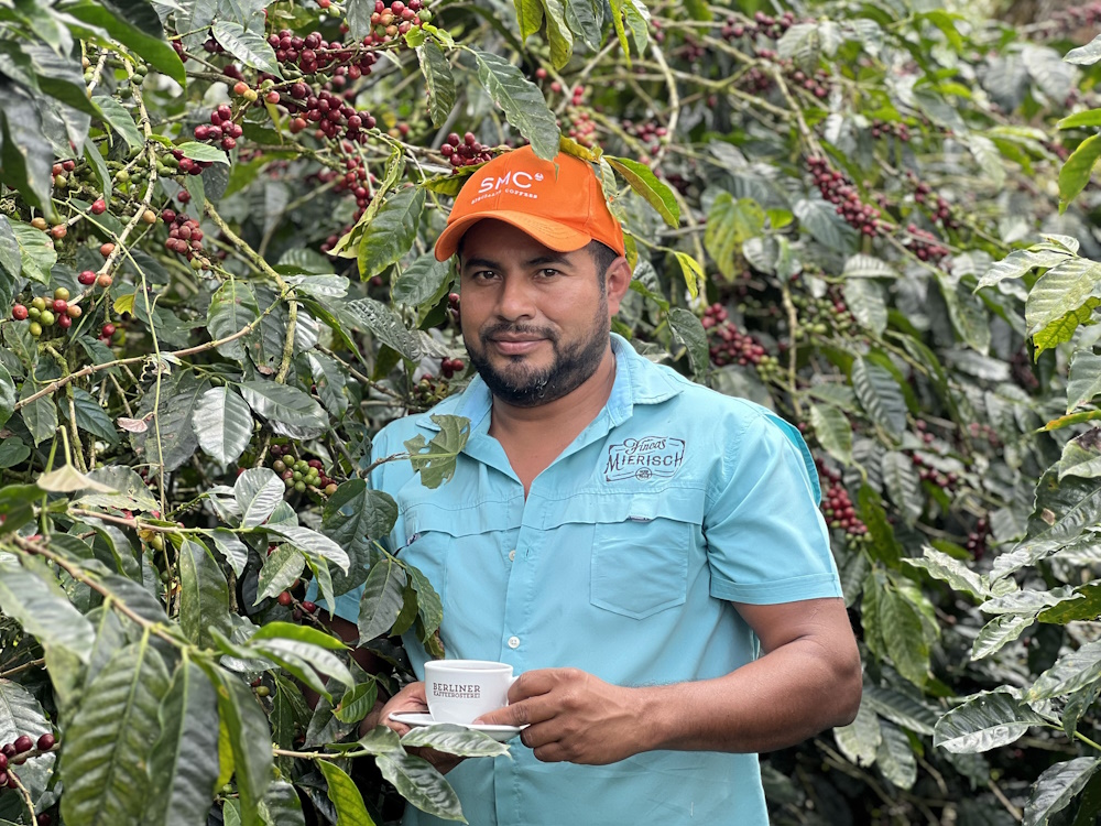 Kaffee aus Nicaragua Finca Mierisch