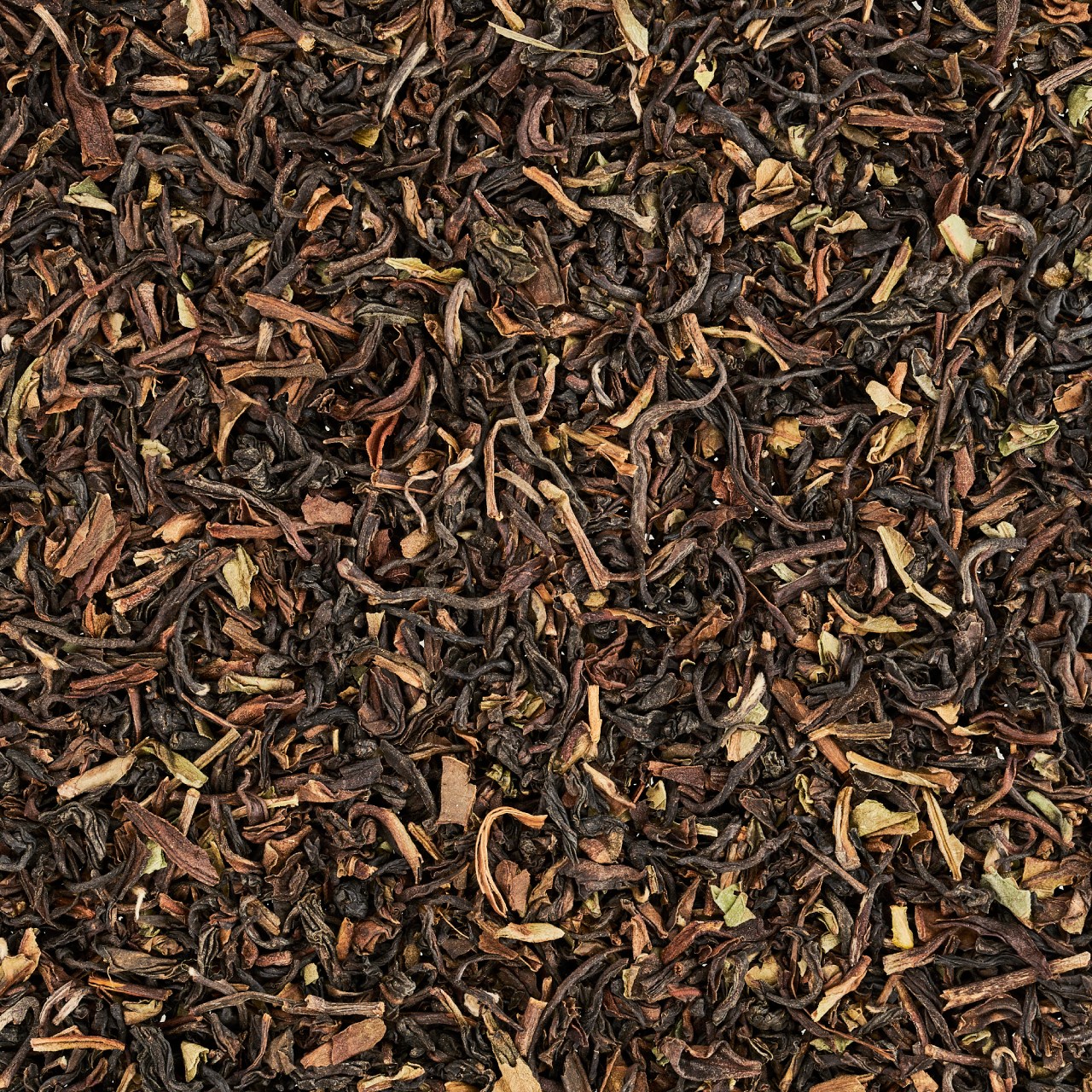 Schlürf - BIO Darjeeling Fritjof №01