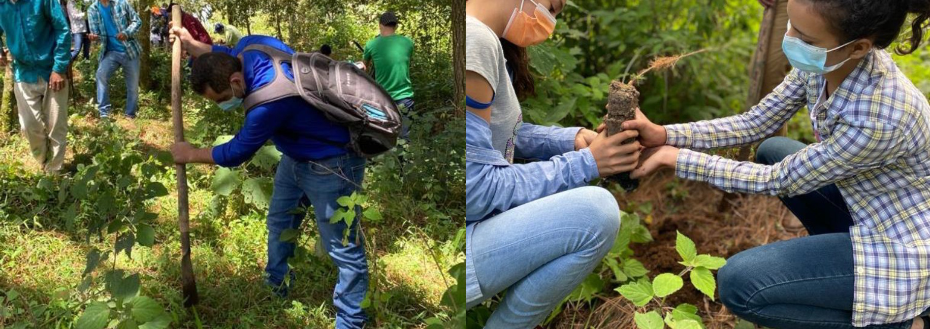 Cooperative Cafescor (Cafés Especiales Corquín S.A)
