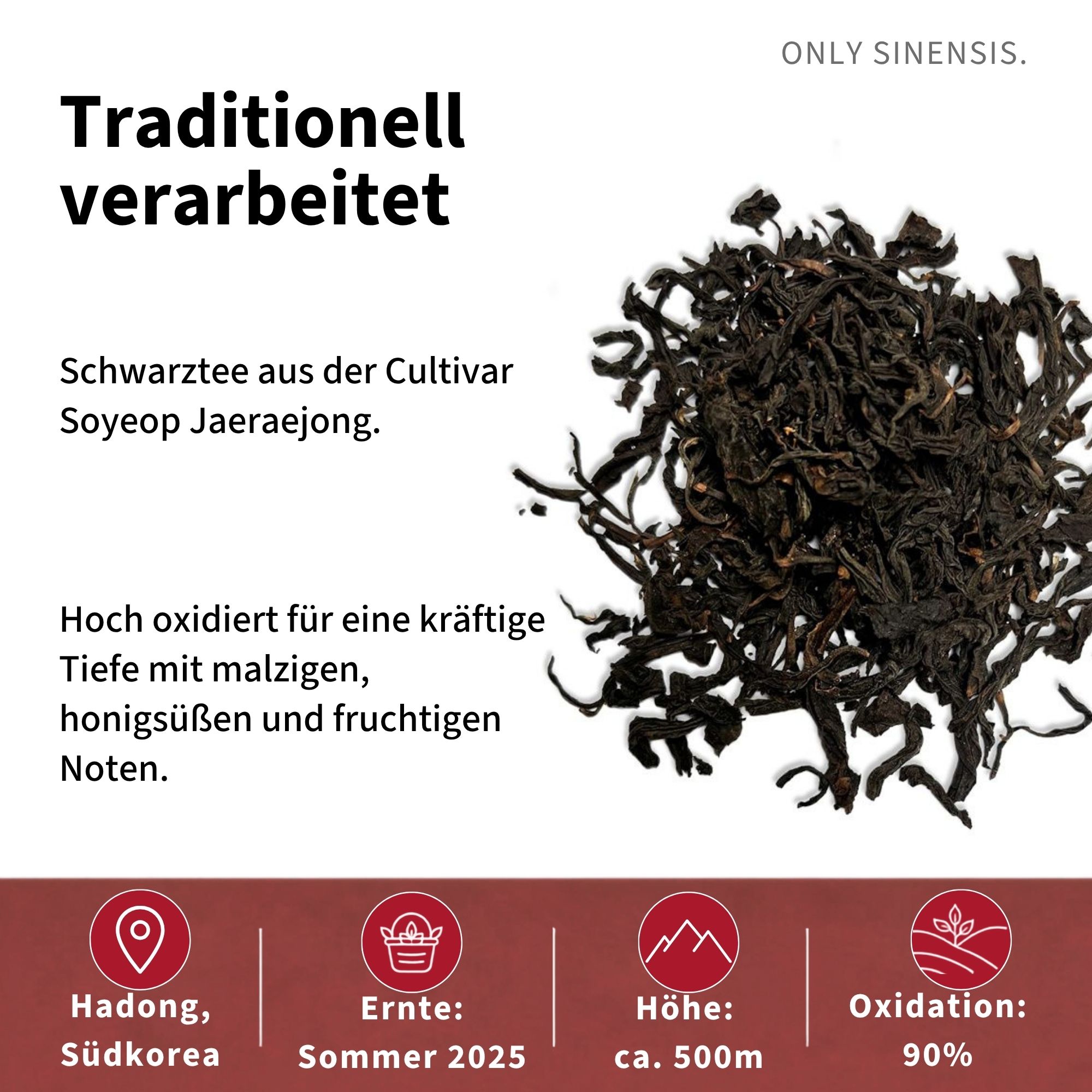 Schwarzer Tee Grand Cru Black Tea - Berlin Tea Academy Only Sinensis